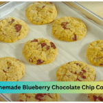 Blueberry Chocolate Chip Cookies